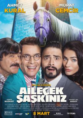 Ailecek Saskiniz (Turkse Film)